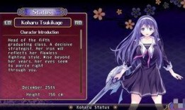 女武神驱动在线观看1,在线观看之旅，探寻虚拟与现实的交织